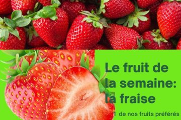 fraises de pays vente direct producteur