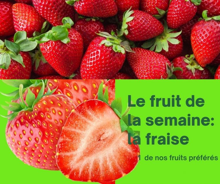 fraises de pays vente direct producteur